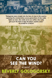 Can You See the Wind? 