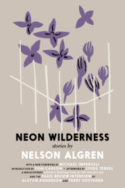 The Neon Wilderness 