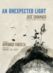 An Unexpected Light 