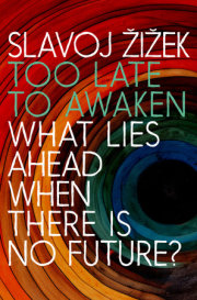 Too Late to Awaken 
