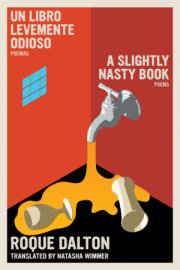 A Slightly Nasty Book / Un libro levemente odioso 