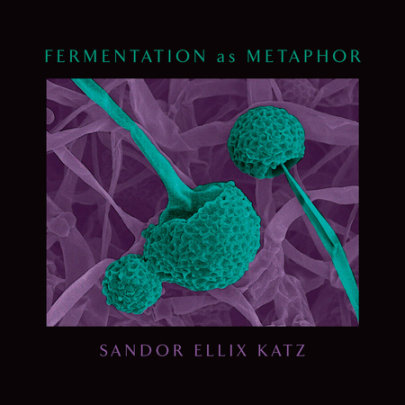 Fermentation as Metaphor - Author Sandor Ellix Katz
