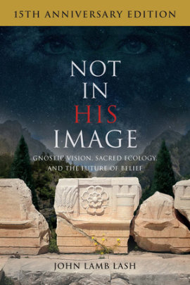 Not in His Image (15th Anniversary Edition) - Author John Lamb Lash