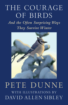 The Courage of Birds