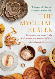 The Mycelial Healer 
