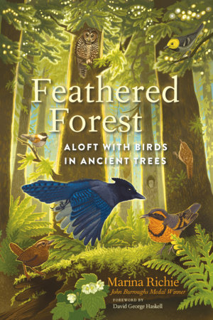 Feathered Forest