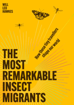 The Most Remarkable Insect Migrants - Author Will Leo Hawkes