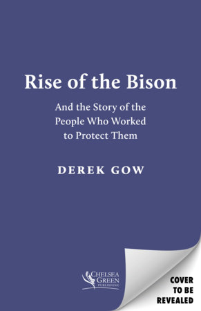 Rise of the Bison