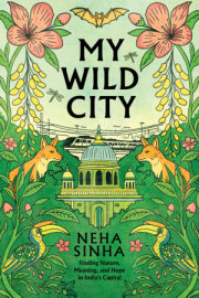 My Wild City 