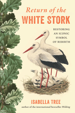Return of the White Stork