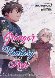 Grimgar of Fantasy and Ash (Light Novel) Vol. 14 