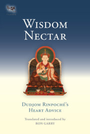 Wisdom Nectar 