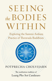Seeing the Bodies Within 