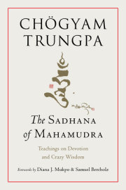 The Sadhana of Mahamudra