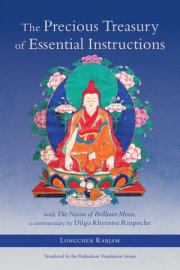 The Precious Treasury of Essential Instructions 