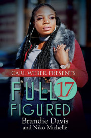 Full Figured 17 