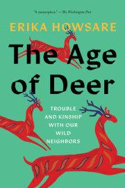 The Age of Deer 