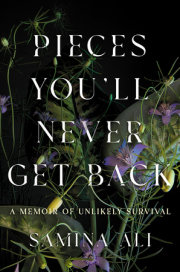 Pieces You'll Never Get Back 