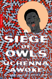 A Siege of Owls 