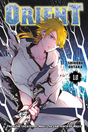 Magi: The Labyrinth of Magic, Vol. 19