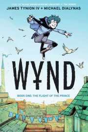 Wynd Book One: The Flight of the Prince 