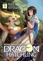 Reincarnated as a Dragon Hatchling (Light Novel) Vol. 1 