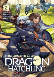 Reincarnated as a Dragon Hatchling (Light Novel) Vol. 2 