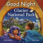 Good Night Glacier National Park 