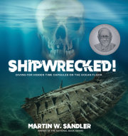 Shipwrecked! 