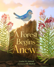 A Forest Begins Anew 