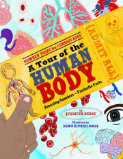 A Tour of the Human Body 