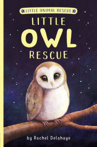 Book cover for Little Owl Rescue