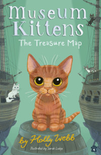 Book cover for The Treasure Map