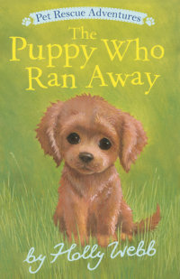 Book cover for The Puppy Who Ran Away