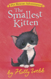 The Smallest Kitten