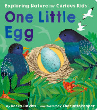 Book cover for One Little Egg