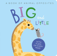 Book cover for Big and Little