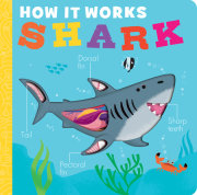 How It Works: Shark 