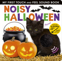 Book cover for Noisy Halloween