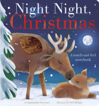 Book cover for Night Night, Christmas