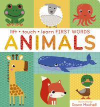 Book cover for Lift Touch and Learn First Words: Animals