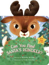 Book cover for Can You Find Santa\'s Reindeer?