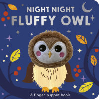Book cover for Night Night Fluffy Owl