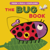Book cover for The Bug Book