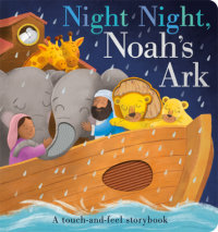 Book cover for Night Night, Noah\'s Ark