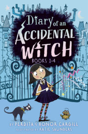 Diary of an Accidental Witch 4-Book Box Set, Books 1-4 