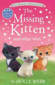 The Missing Kitten and Other Tales 