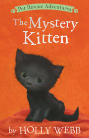 The Mystery Kitten 