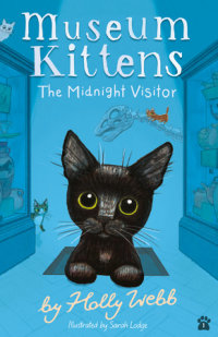 Book cover for The Midnight Visitor