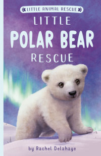 Book cover for Little Polar Bear Rescue